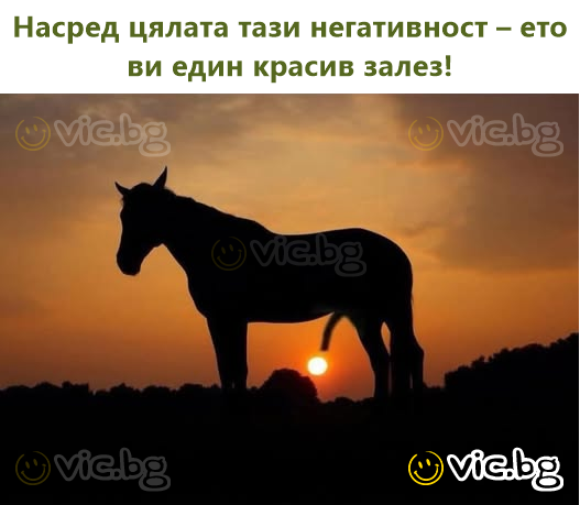 Насред цялата тази негативност – ето ви един красив залез!