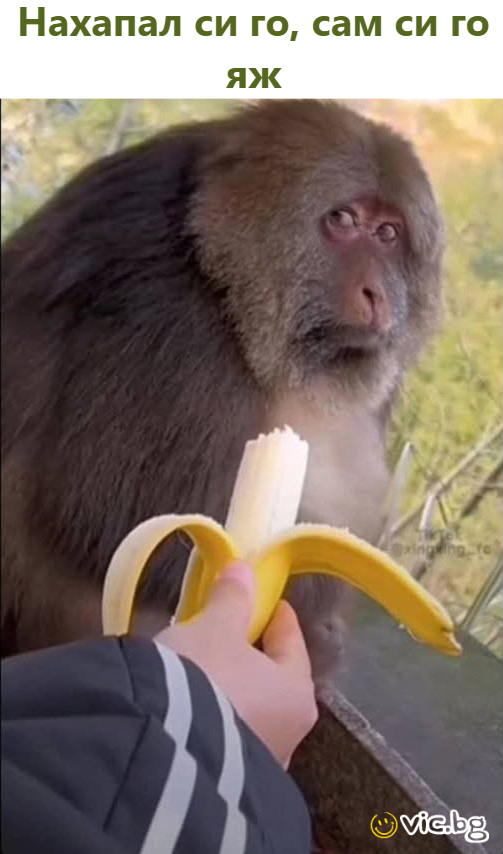 Нахапал си го, сам си го яж