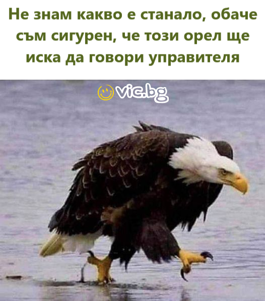Не знам какво е станало, обаче съм сигурен, че този орел ще иска да говори управителя