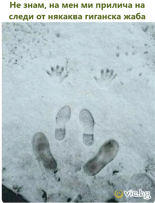 Не знам, на мен ми прилича на следи от някаква гиганска жаба