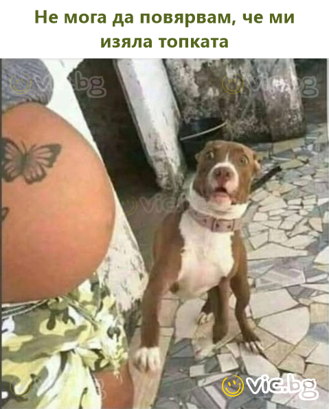 Не мога да повярвам, че ми изяла топката