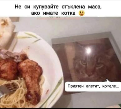 Не си купувайте стьклена маса, ако имате котка. Приятен апетит, копеле...