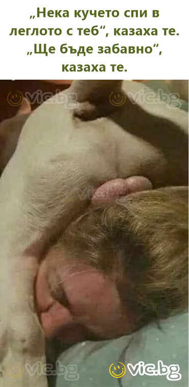 „Нека кучето спи в леглото с теб“, казаха те. „Ще бъде забавно“, казаха те.