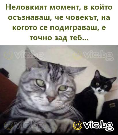 Неловкият момент, в който осъзнаваш, че човекът, на когото се подиграваш, е точно зад теб...