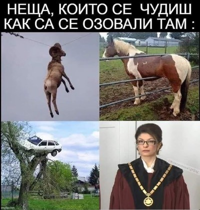 Неща, които се чудиш как са се озовали там :
