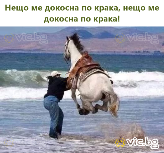 Нещо ме докосна по крака, нещо ме докосна по крака!