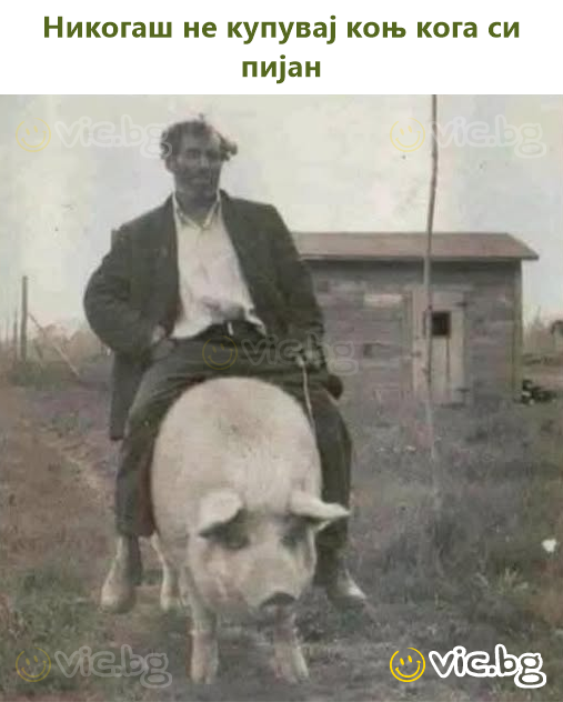 Никога не купувай кон, когато си пиян