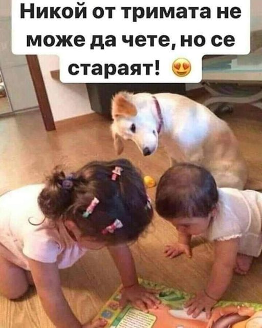 Никои от тримата не може да чете, но се стараят