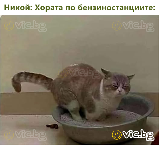 Никой: Хората по бензиностанциите: