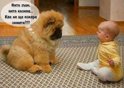 Нито зъби, нито козина... Как ли ще изкара зимата?!?