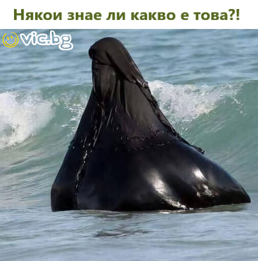 Някои знае ли какво е това?!