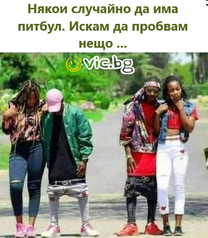 Някои случайно да има питбул. Искам да пробвам НЕЩО