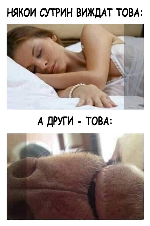 Някои сутрин виждат това: Другити - това: