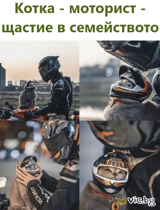Някои хора от вашето обкръжение твърдят, че сте нимфомнка. Как ще коментирате това?