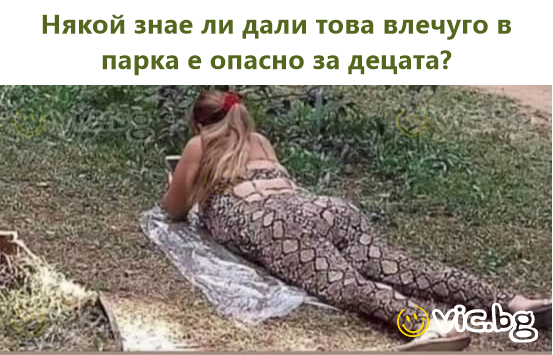 Някой знае ли дали това влечуго в парка е опасно за децата?