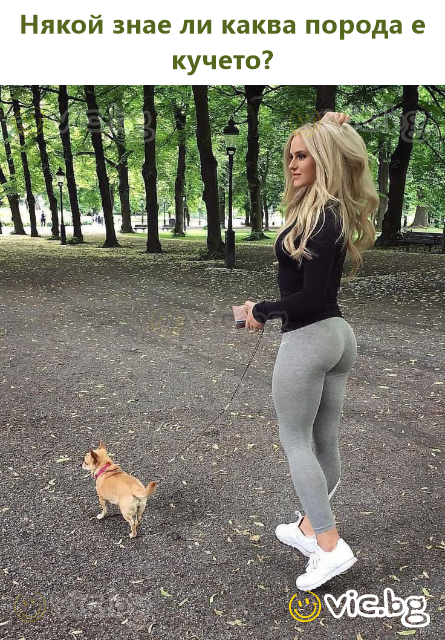 Някой знае ли каква порода е кучето?