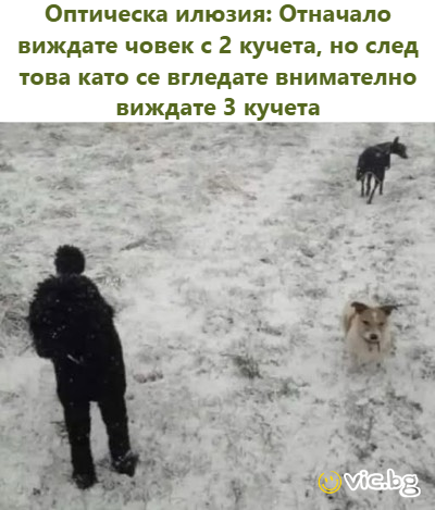 Оптическа илюзия: Отначало виждате човек с 2 кучета, но след това като се вгледате внимателно виждате 3 кучета   