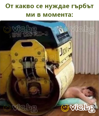 От какво се нуждае гърбът ми в момента: