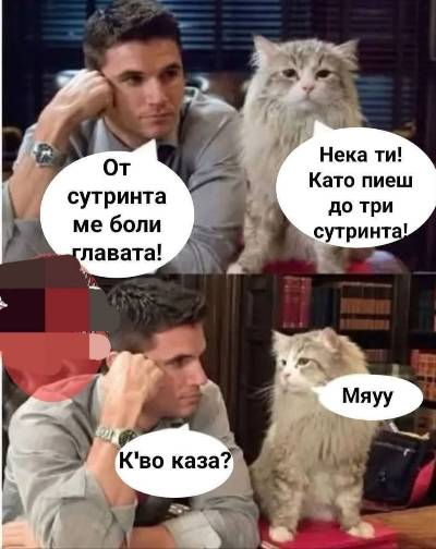 От сутринта ме боли главата! Нека ти! Като пиеш до три сутринта! Какво каза?! Мяуу