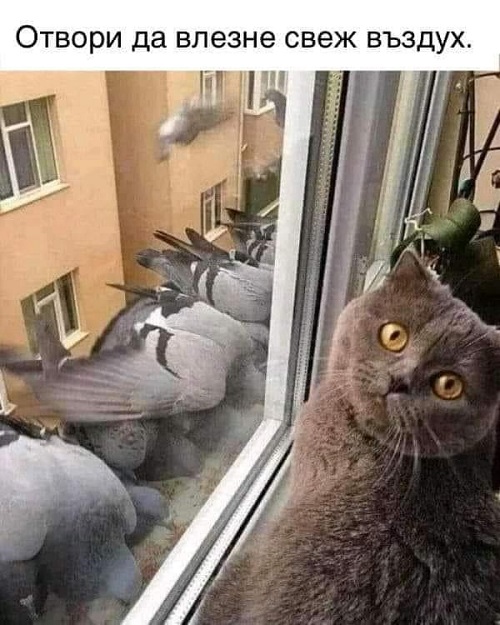 Отвори да влезне свеж въздух