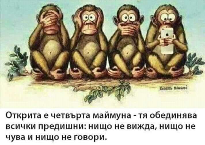 Открита е четвърта маймуна - тя обединява всички предишни: нищо не вижда, нищо не чува и нищо не говори.