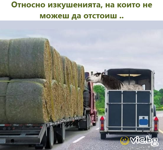 Относно изкушенията, на които не можеш да отстоиш..