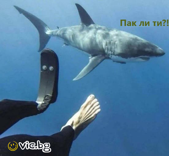 Пак ли ти?