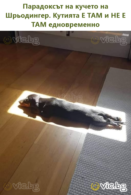 Парадоксът на кучето на Шрьодингер. Кутията Е ТАМ и НЕ Е ТАМ едновременно