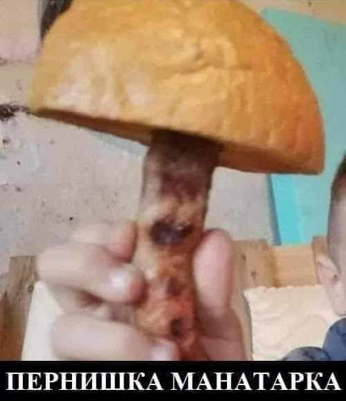 Пернишка манатарка