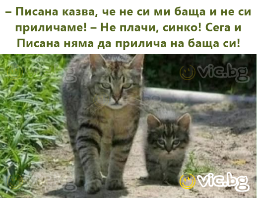 – Писана казва, че не си ми баща и не си приличаме! – Не плачи, синко! Сега и Писана няма да прилича на баща си!