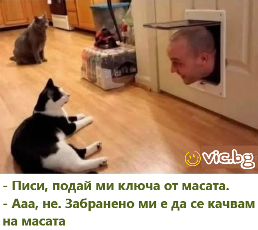 - Писи, подай ми ключа от масата. - Ааа, не. Забранено ми е да се качвам на масата.
