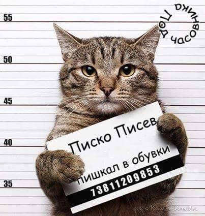 Пишкал в обувки