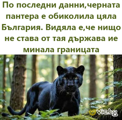 По последни данни,черната пантера е обиколила цяла България. Видяла е, че нищо не става от тая държава и е минала границата
