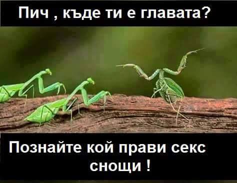 Познайте кой е правил секс снощи!