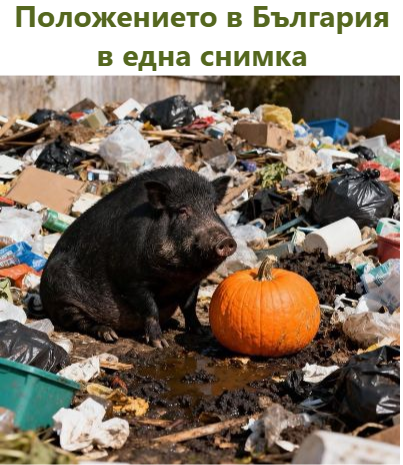 Положението в България в една снимка