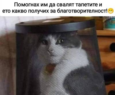 Помогнах им да свалят тапетите и ето какво получих за благодарност?!
