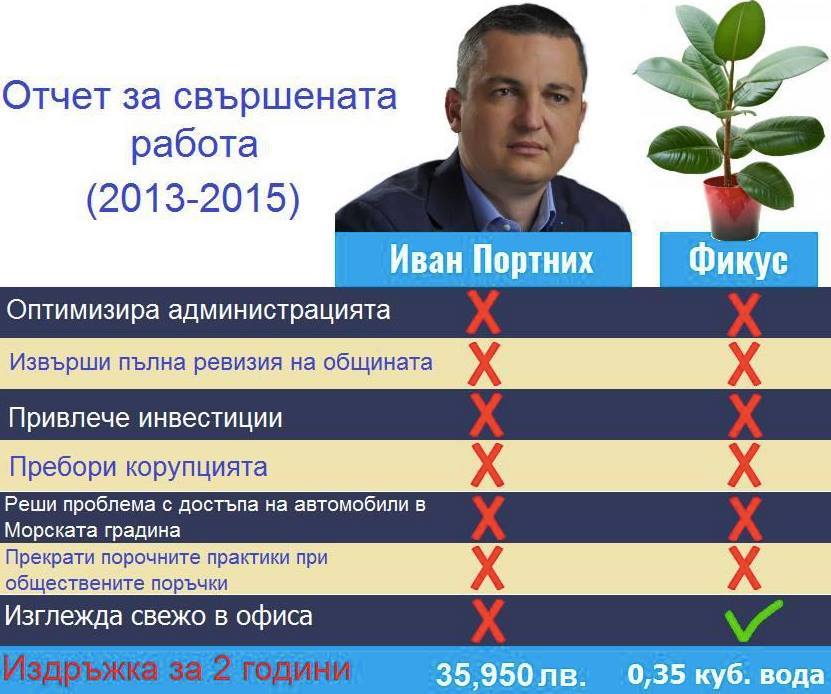 Портних Сравнение между Портних и Фикус