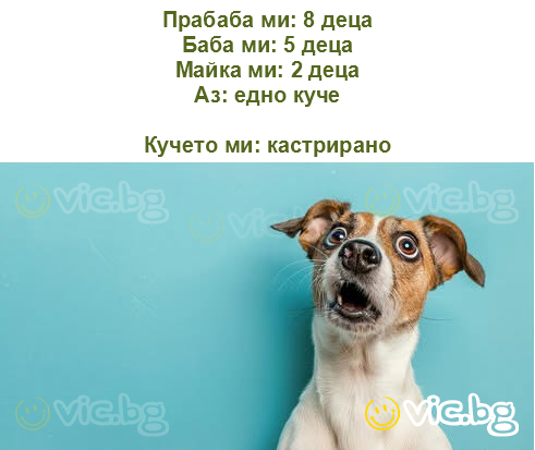 Прабаба ми: 8 деца
Баба ми: 5 деца
Майка ми: 2 деца
Аз: едно куче

Кучето ми: кастрирано