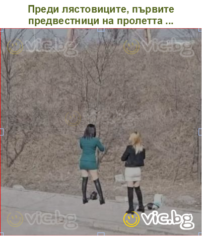 Преди лястовиците, първите предвестници на пролетта ...