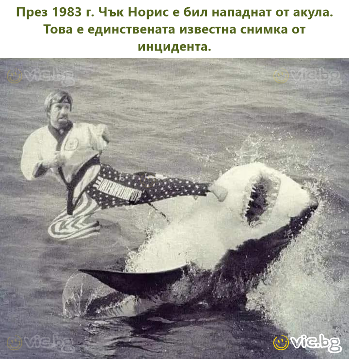 През 1983 г. Чък Норис е бил нападнат от акула. Това е единствената известна снимка от инцидента.