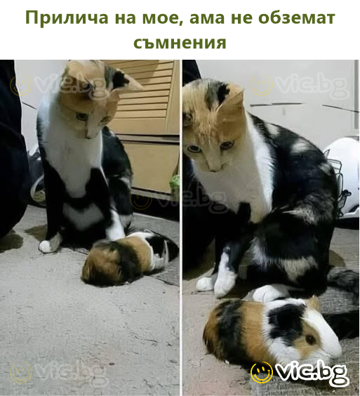 Прилича на мое, ама не обземат съмнения