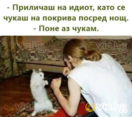 - Приличаш на идиot, като се чукаш на покрива посред нощ. - Поне аз чукам.