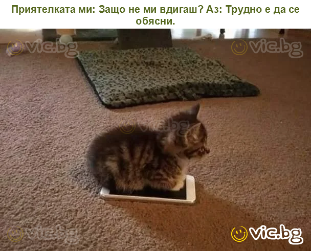 Приятелката ми: Защо не ми вдигаш? Аз: Трудно е да се обясни.