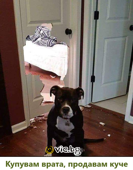 Продавам куче, купувам врата