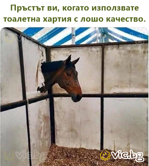 Пръстът ви, когато използвате тоалетна хартия с лошо качество.