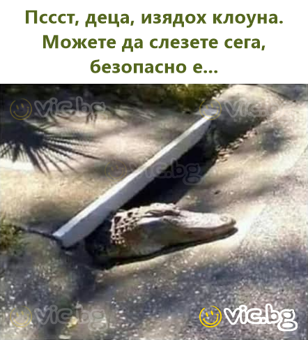 Пссст, деца, изядох клоуна. Можете да слезете сега, безопасно е...