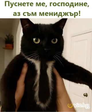 Пуснете ме, господине, аз съм мениджър!