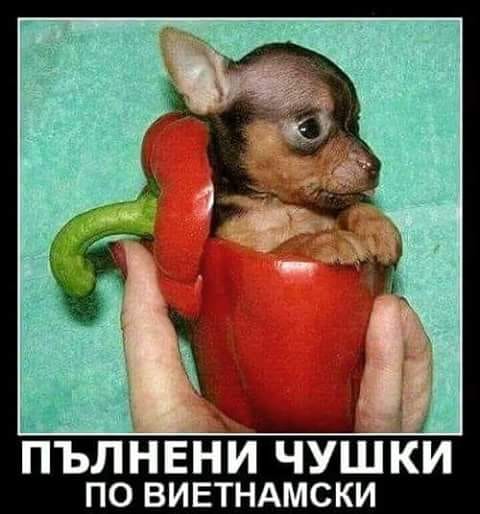 Пълнени чушки по виетнамски