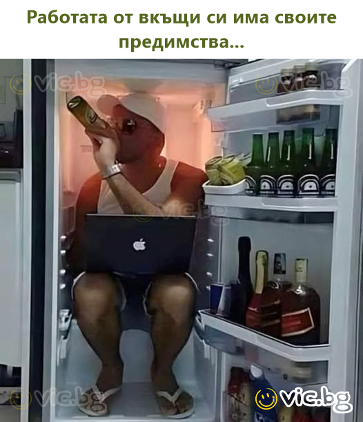 Работата от вкъщи си има своите предимства...