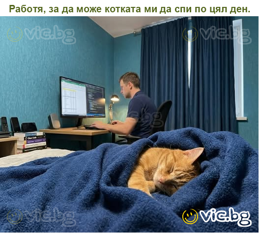 Работя, за да може котката ми да спи по цял ден.